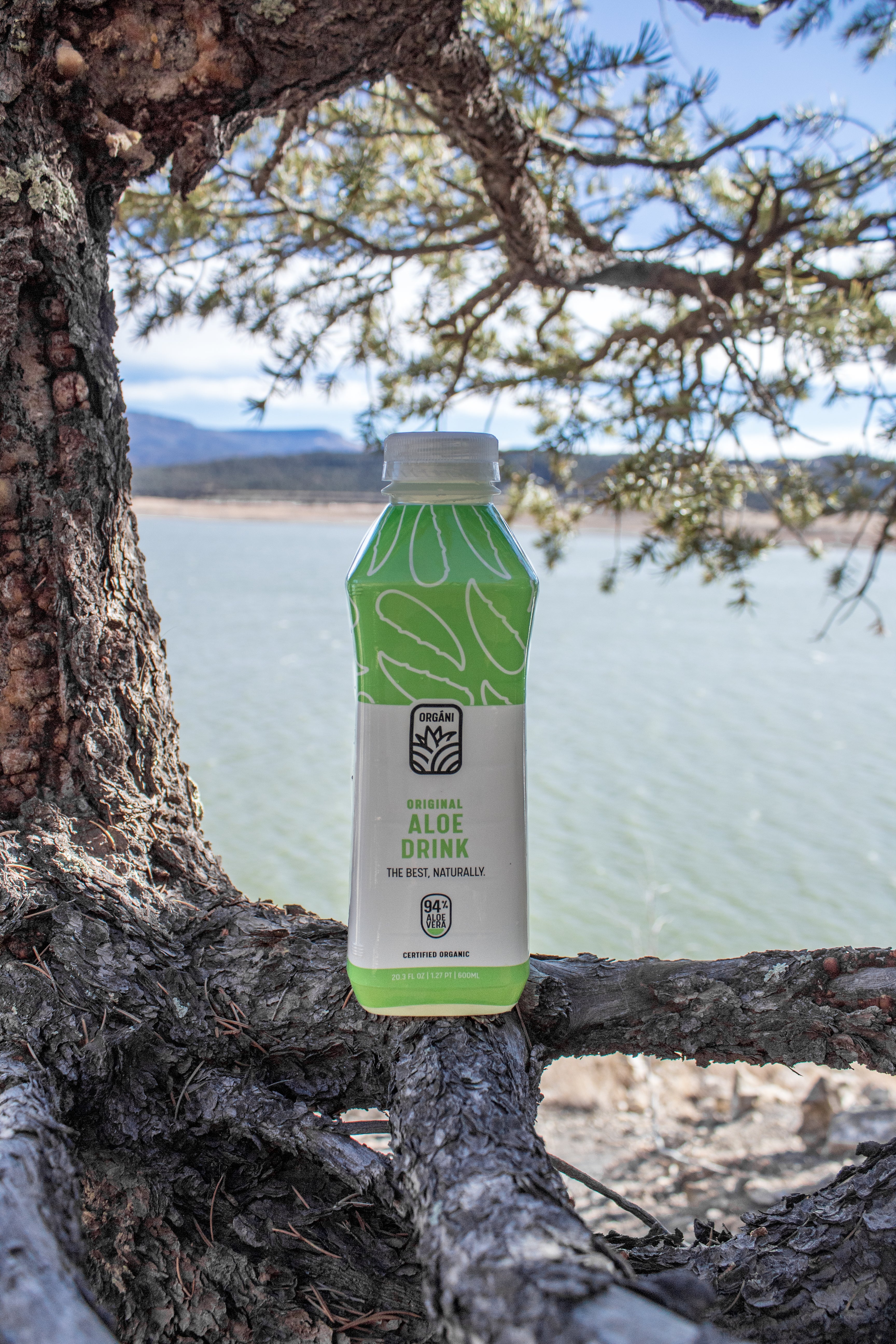 Original Aloe 6 Pack