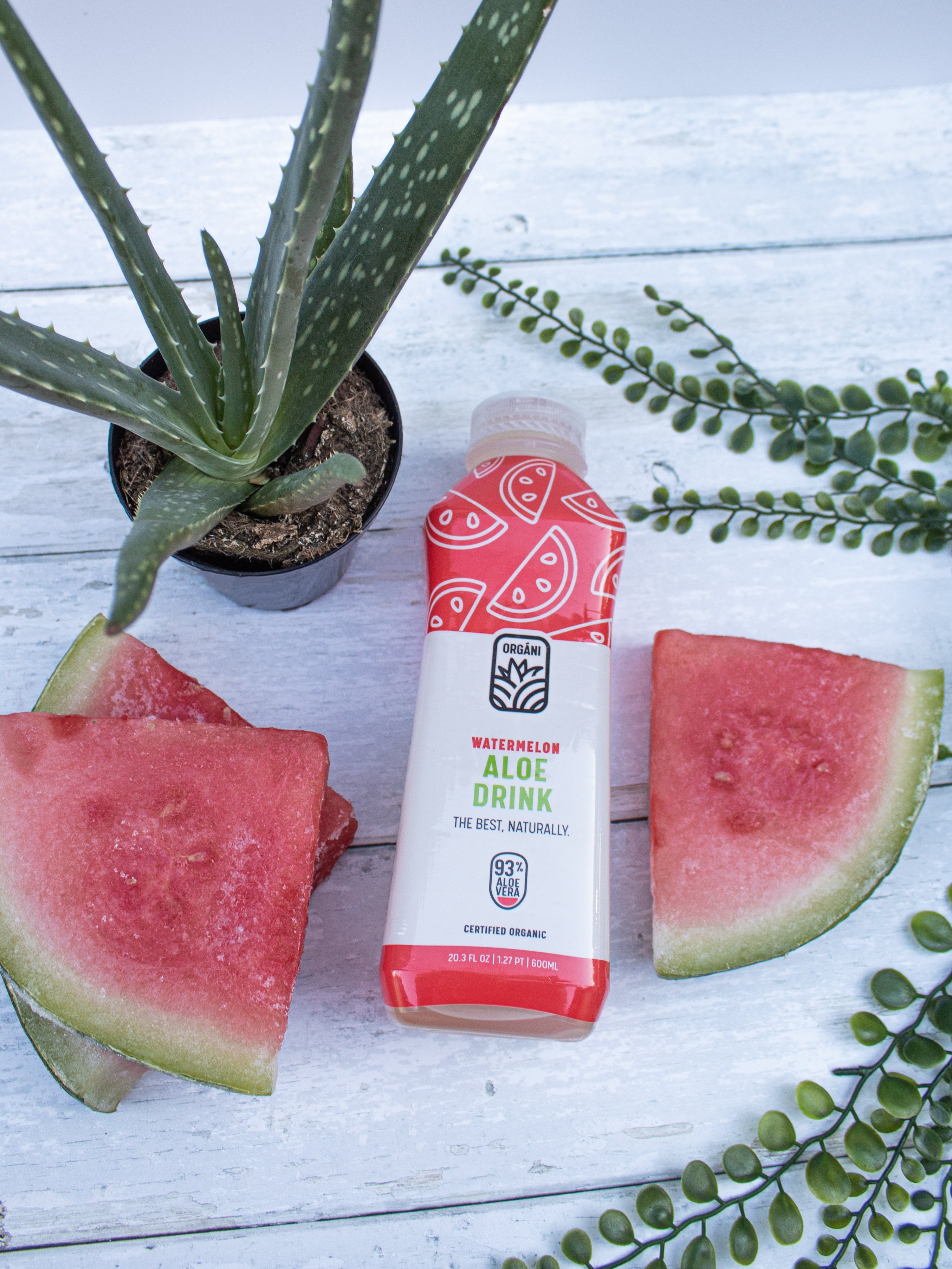 Watermelon Aloe 6 Pack
