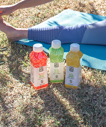 Organi Variety 6 Pack